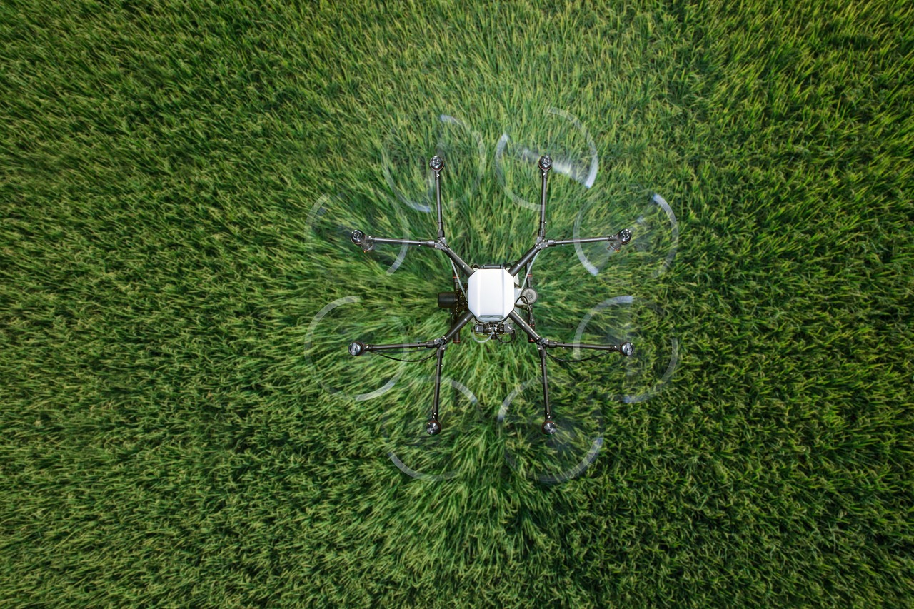 中国联通实名账号：熊猫平台代理加盟