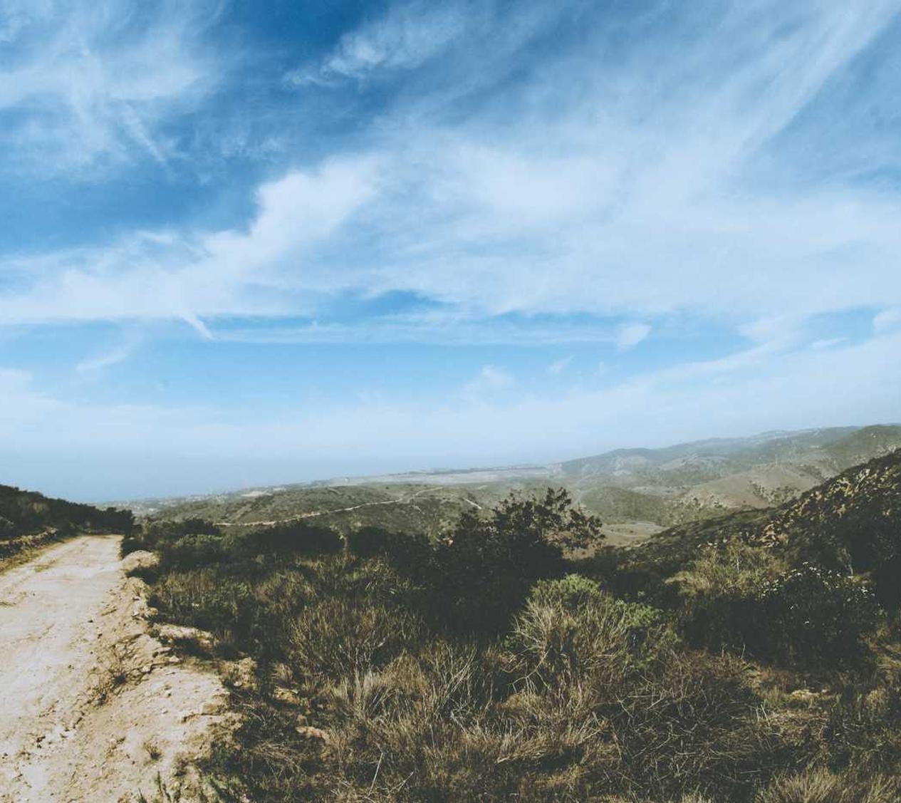 全面净化游戏环境，设立技术支持知识只是治标不治本